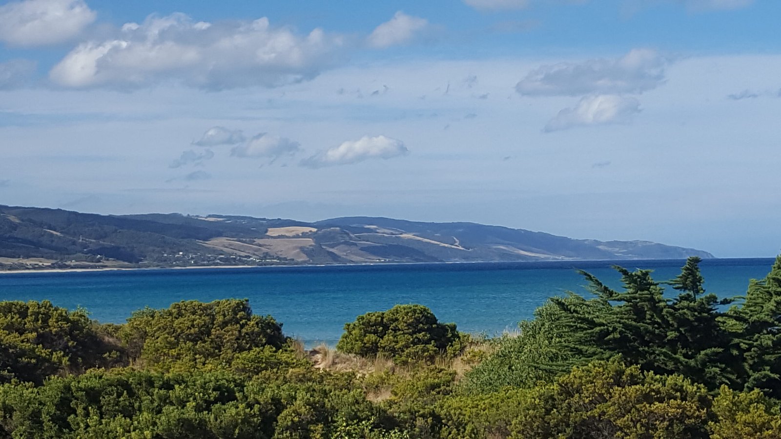 Yoga Apollo bay yoga - Natasha-Sikand - Backbend